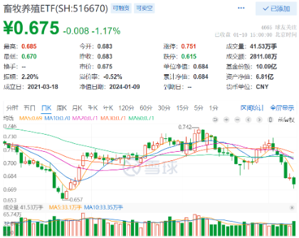 龙头猪企盘中急跌，最新回应！畜牧养殖ETF（516670）触底回升量能放大，机构：产能去化或重启加速