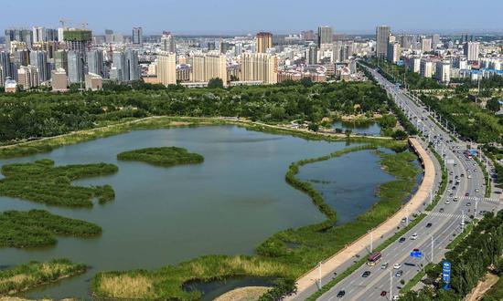 宁夏银川:中国距离原始森林最近的城市