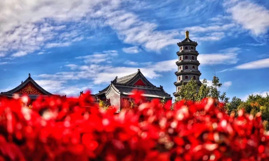 图片6