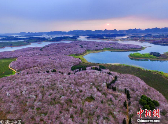 俯瞰图