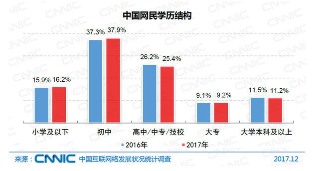 图29 中国网民学历结构