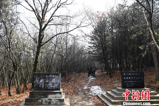 3月上旬,游客行走在处于甘肃合水县子午岭腹地的世界上最早的“高速公路”秦直道。中新社记者 杨艳敏 摄