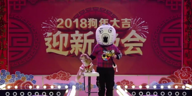 暴走大事件《动物世界》之候鸟春劫篇
