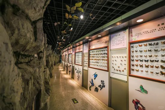  ▲图源丨小红书@转圈圈的曲奇🍪