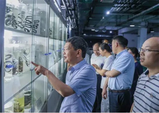 院领导参观蛇类标本