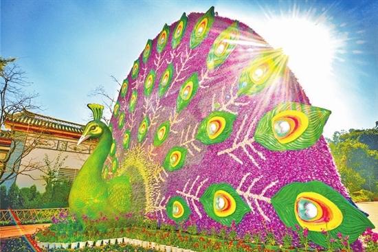 云南民族大观园全力打造文化公园