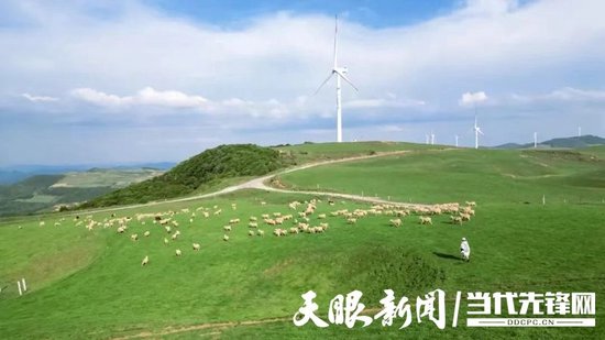草场风光。