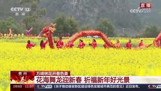 央视直播万峰林新春活动