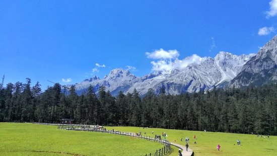 云杉坪的草甸林海与巍峨玉龙雪山遥相辉映。（资料图）