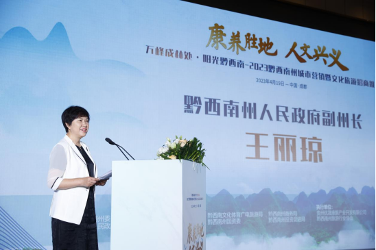 黔西南州政府副州长王丽琼致辞