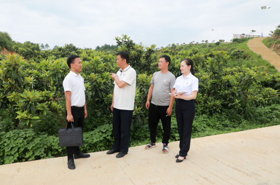 邮储银行黔东南州分行客户经理走访台江县革一镇革一村枇杷种植基地