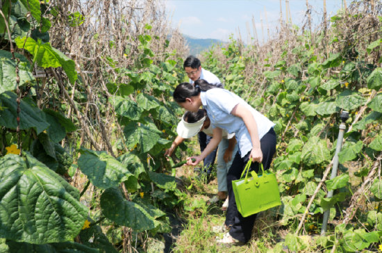 邮储银行榕江县支行客户经理在某蔬果种植基地做贷款调查