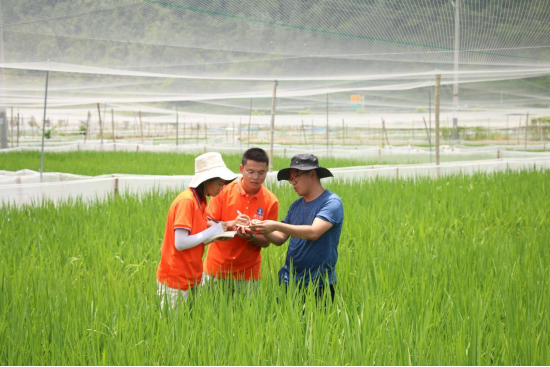 梁正其行走田间地头