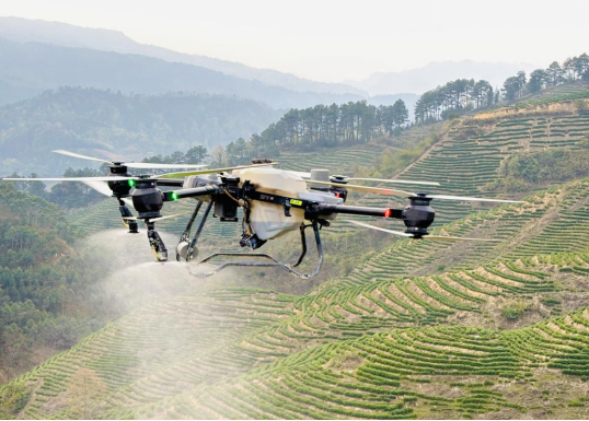 该公司利用无人机为茶场喷洒农药