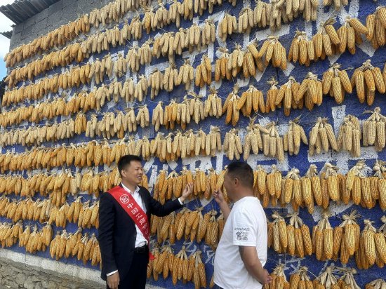 工作人员到玉米种植户家中调研