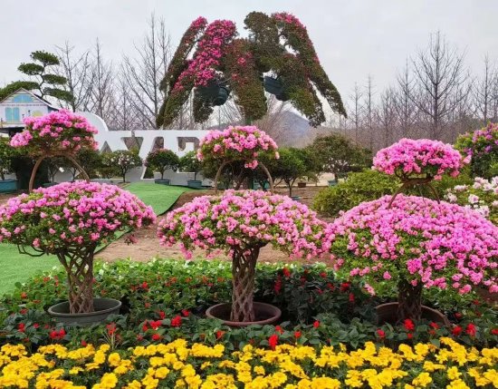 叆河风景区第四届杜鹃花节
