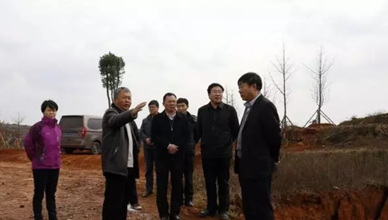 中国 正文  近日,富源县委书记唐开荣,县委副书记,县长陈志,副县长