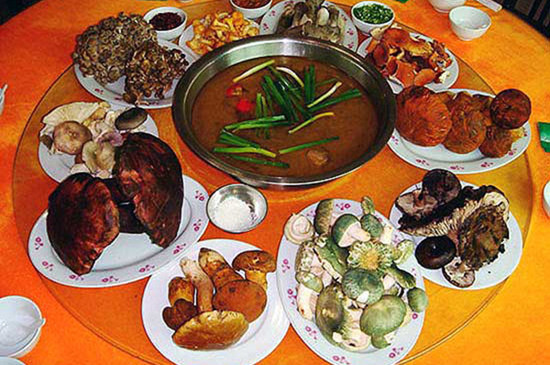 菌子宴