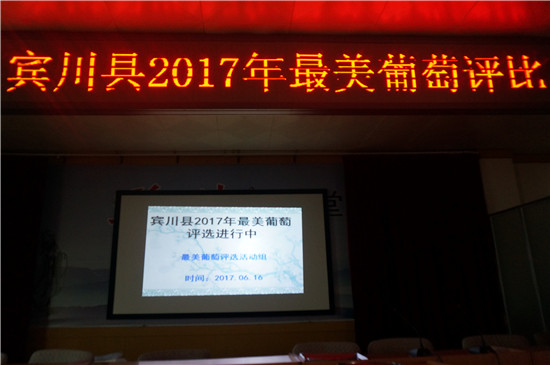最美葡萄评选活动