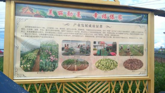 贫困家庭年收入_工作第一年收入期望(3)