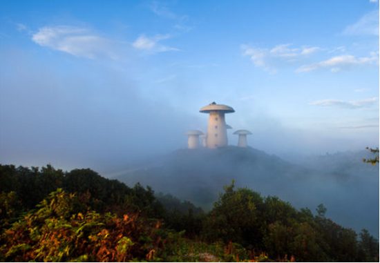 曲靖师宗菌子山