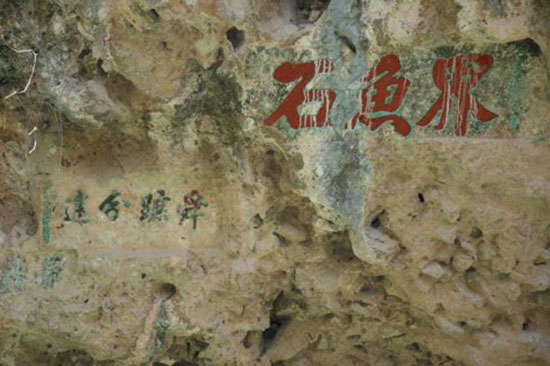 界鱼石 图/新浪博客 扛不住了的博客