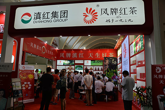 凤牌红茶受青睐