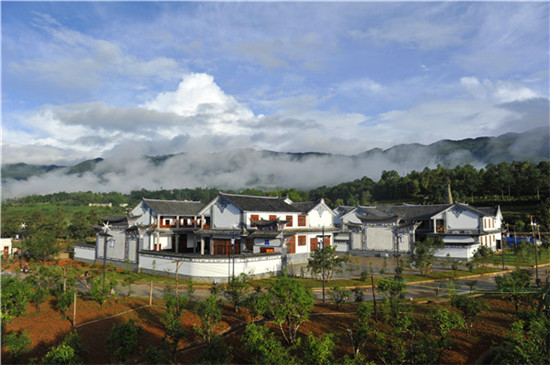 鸣凤山万亩古茶树茶庄园