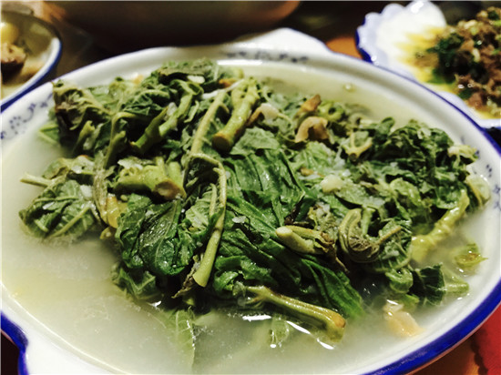 清炒枇杷叶