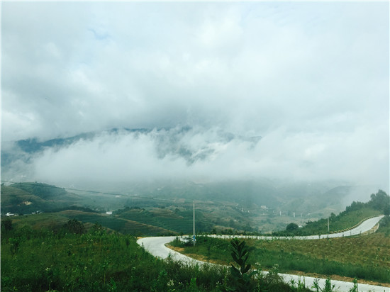 爱华镇大树村的“绿水青山”