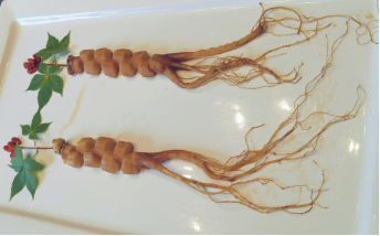 （藏红花枸杞焖人参）