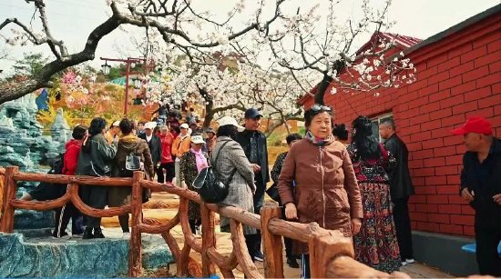 杏梅花文化旅游活动