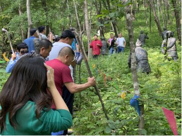 （游客在云岭野山参保护区开展采参之旅）