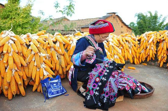 国家级《彝族（撒尼）刺绣》项目代表性传承人：毕跃英