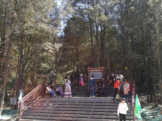 【温暖2018】春节黄金周云南曲靖接待游客19