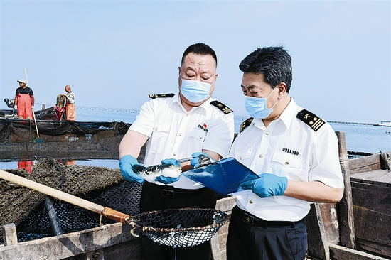 海关关员现场查验进出口活鱼。刘慧媛 摄
