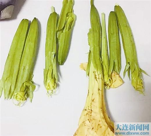 曼陀罗