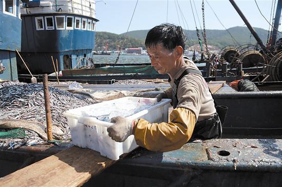 渔民们把成箱的鲜鱼搬上岸。本报记者王华 摄