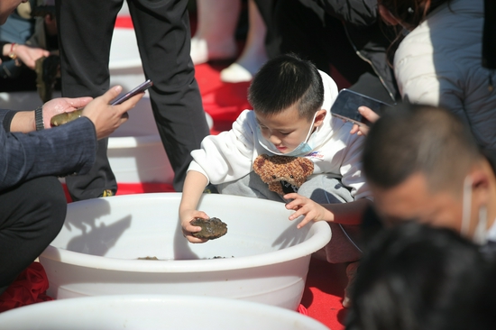 品牌引领与科技创新双轮驱动 普兰店区