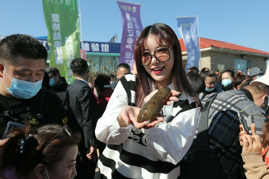 品牌引领与科技创新双轮驱动 普兰店区