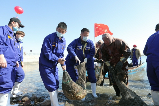 品牌引领与科技创新双轮驱动 普兰店区