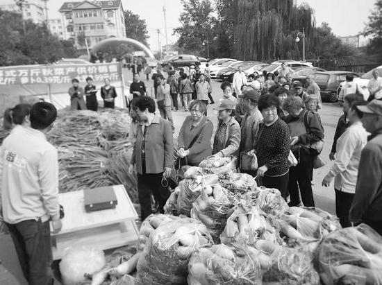 10月15日起,市民可以购买到秋菜了。