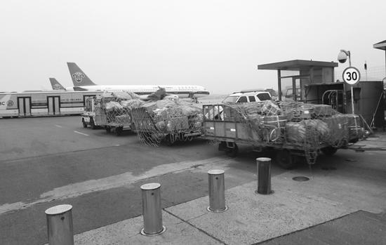 双十一大连人花6.66亿买回379万件包裹