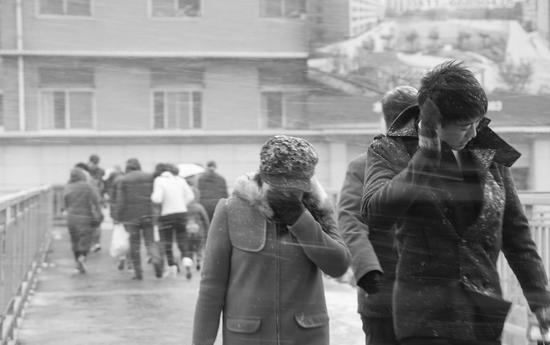 大连全区迎来今冬第一场降雪_新浪大连_新浪网