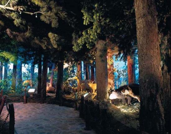 神奇动物在哪里?在大连!