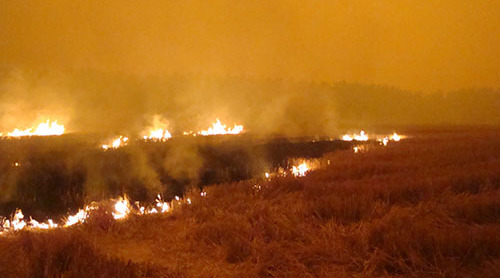 秸秆禁烧图片大全 0S5u-fxwkzyk0787971.jpg