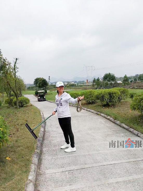 覃江丽抓住了眼镜蛇。(采访对象同事提供)
