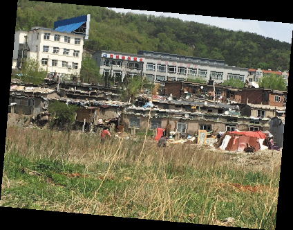 曾被拆除的违建依然屹立林地里。