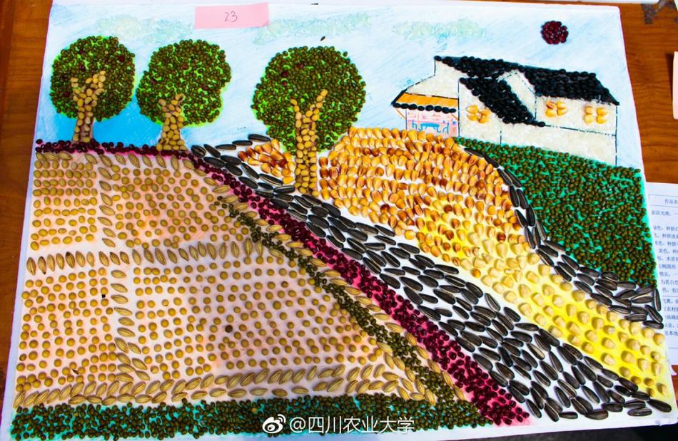 组图:川农大学生用种子作画 栩栩如生引人赞