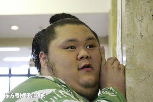 相扑手_相扑手收入